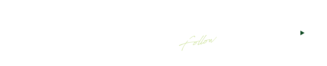 bnr_instagram_ttl